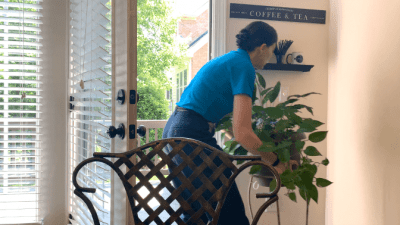 House Cleaner carries house plants outdoors