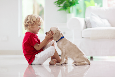 Get Rid of Cigarette Smell in Rental Property, Little Boy and Dog